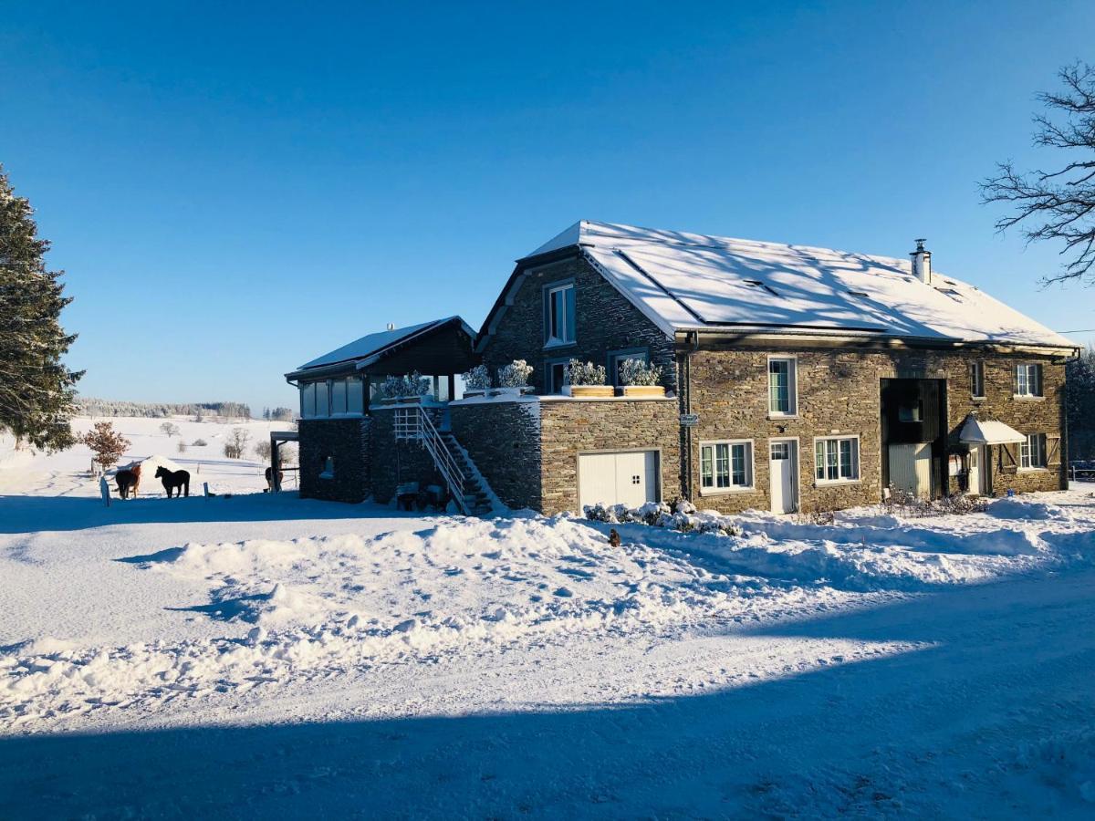 B&B Pegasus II - Chambre Familiale De Luxe Avec Sauna Privatif Vielsalm Exteriör bild