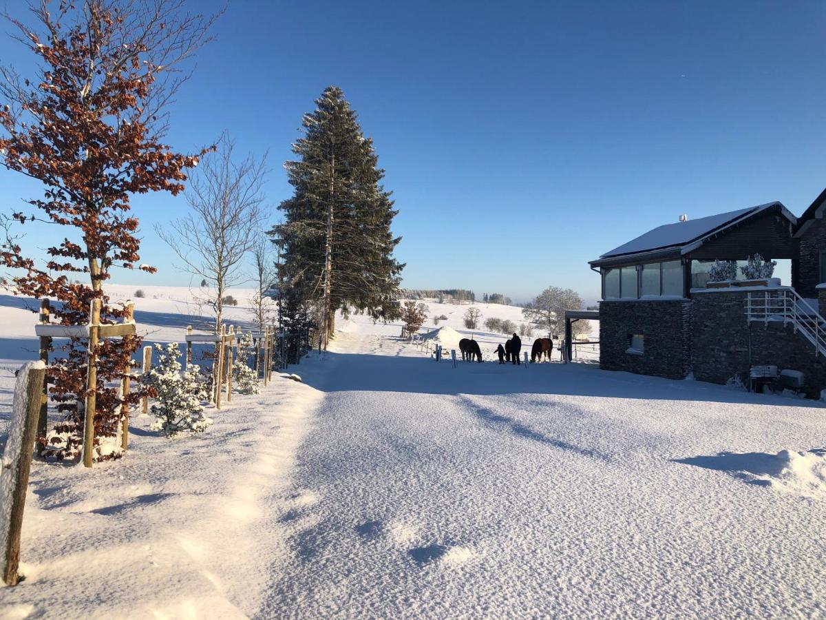 B&B Pegasus II - Chambre Familiale De Luxe Avec Sauna Privatif Vielsalm Exteriör bild