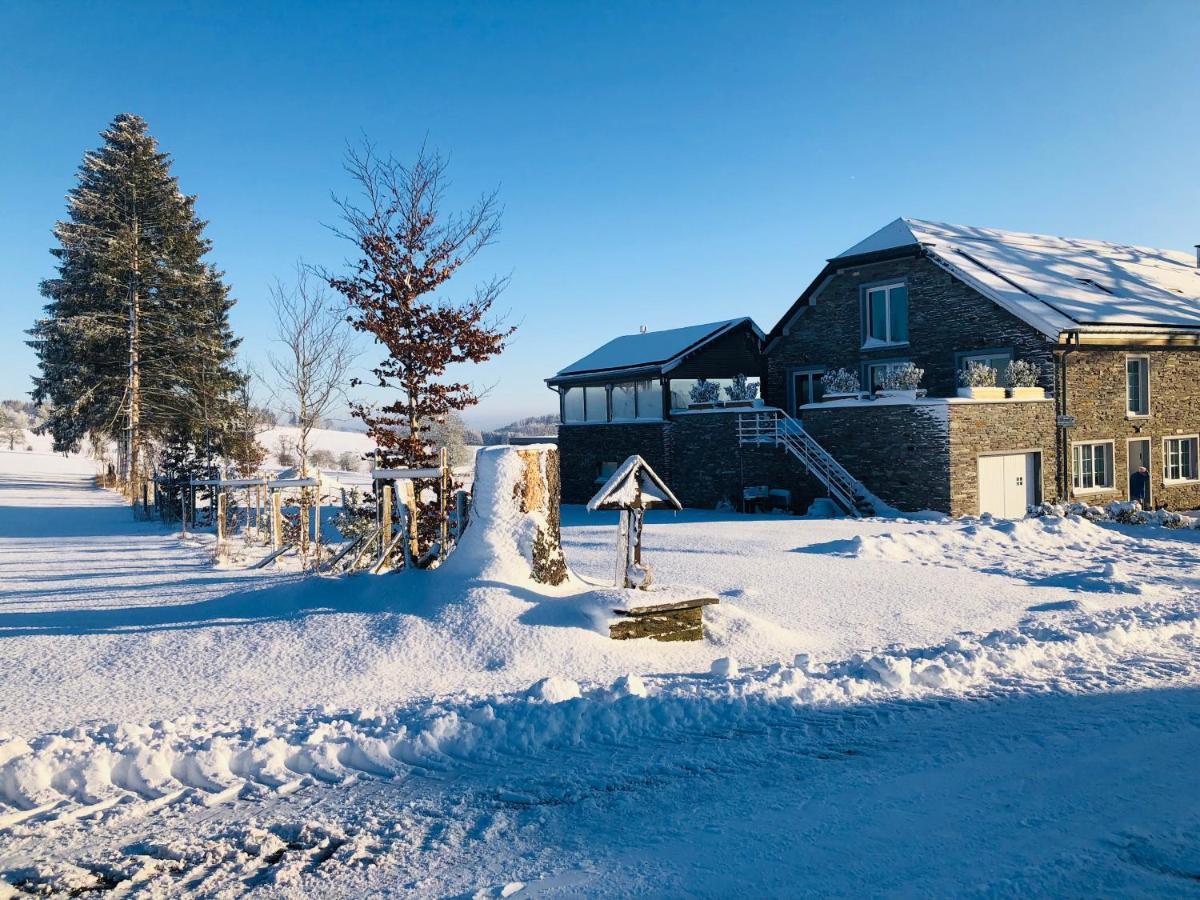 B&B Pegasus II - Chambre Familiale De Luxe Avec Sauna Privatif Vielsalm Exteriör bild