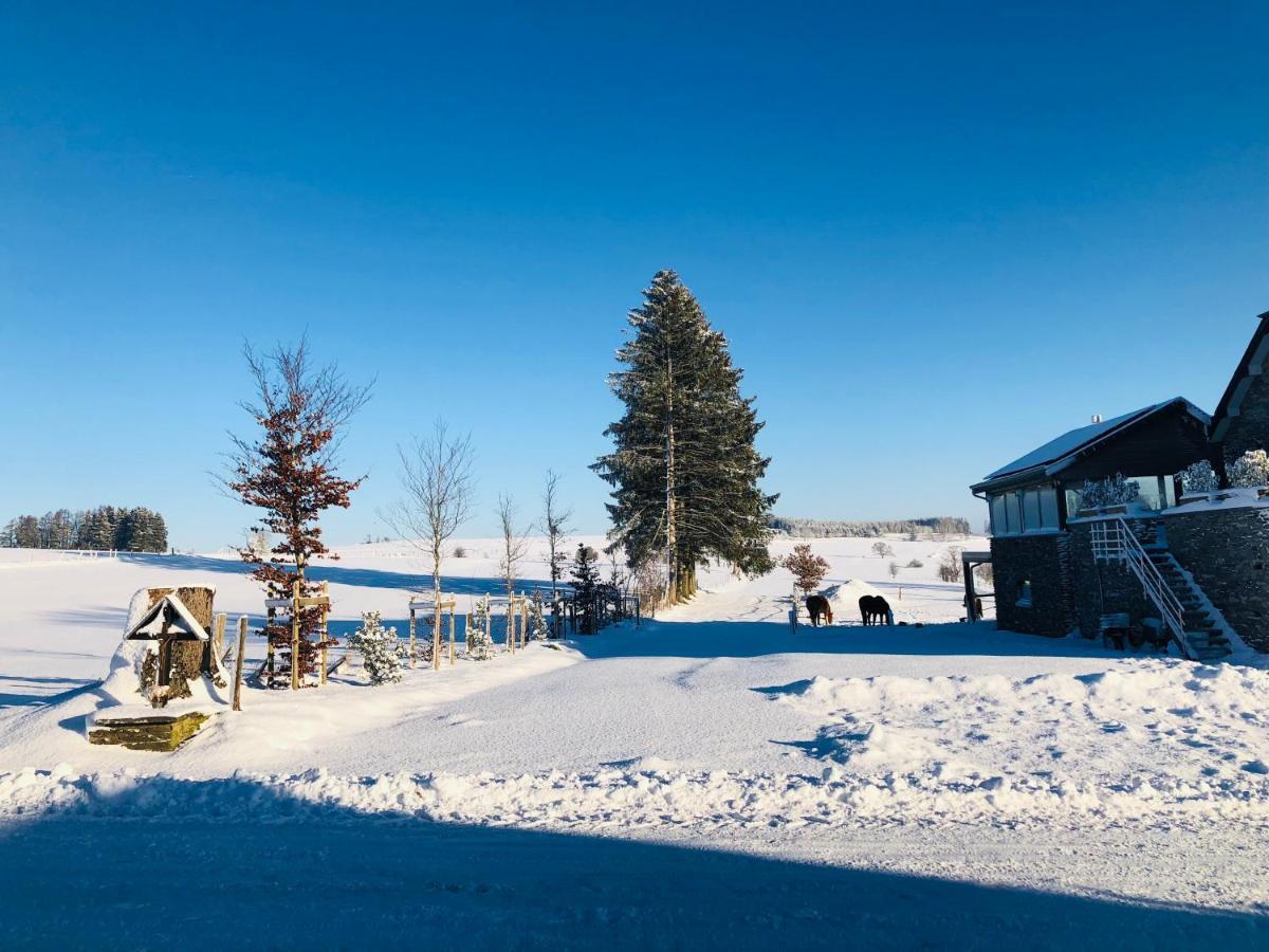 B&B Pegasus II - Chambre Familiale De Luxe Avec Sauna Privatif Vielsalm Exteriör bild