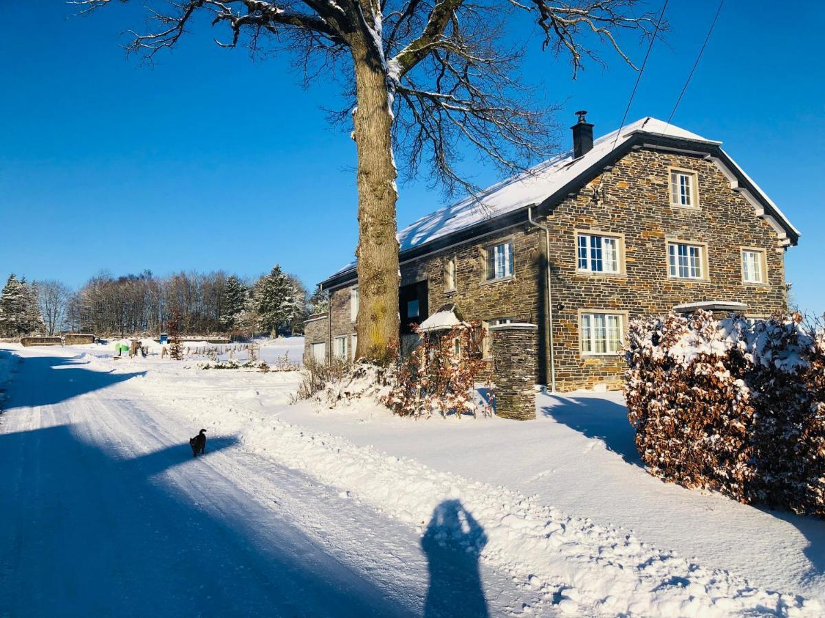 B&B Pegasus II - Chambre Familiale De Luxe Avec Sauna Privatif Vielsalm Exteriör bild